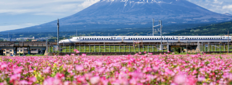 Shinkansen and Fuji