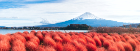 Colorful autumn of mountain Fuji
