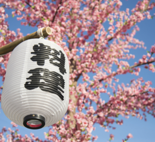 japonja sakuros