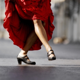 flamenco sokis kojos 14990