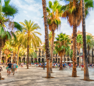 Placa Reial 