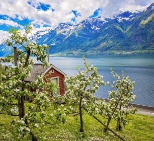 pazintine norvegija hardangerio fjordas