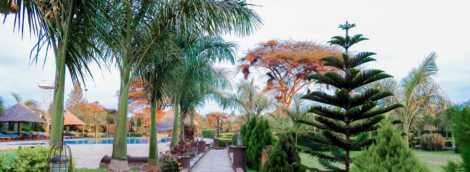 penety resort 1