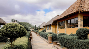 penety resort 3