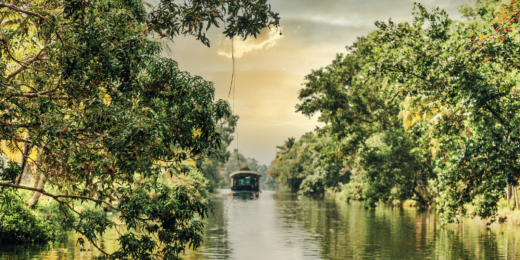 kumarakomas