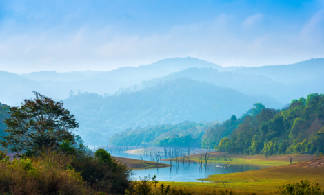 periyar rezervatas