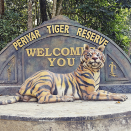 periyar tigru rezervatas