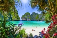 Phi phi
