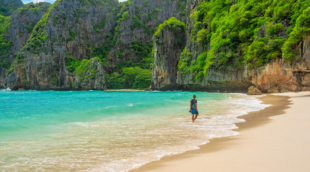 maya bay beach