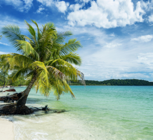 Sihanukvilis kambodža