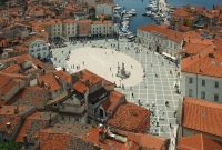 pirana2