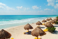 beach 1184
