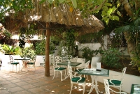Ponderosa tenerife 4633