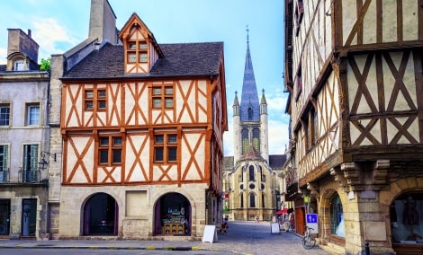 Dijon2