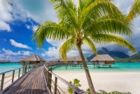 bora bora papludimys 6536