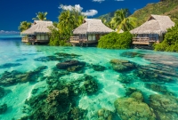 tahiti 6541