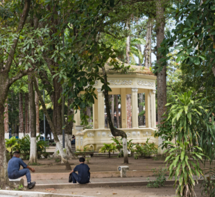 puerto limonas parkas