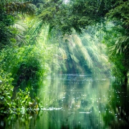 Tortuguero, Costa Rica