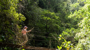 „Inkaterra Canopy Walkway“