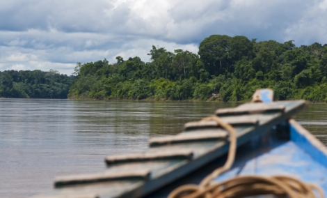amazonė, peru