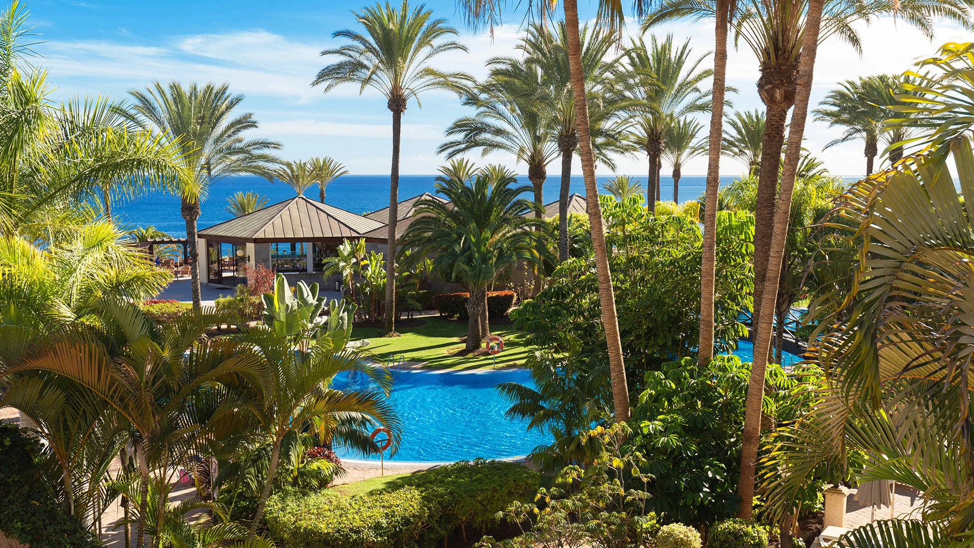 pasiūlymo nuotrauka 0