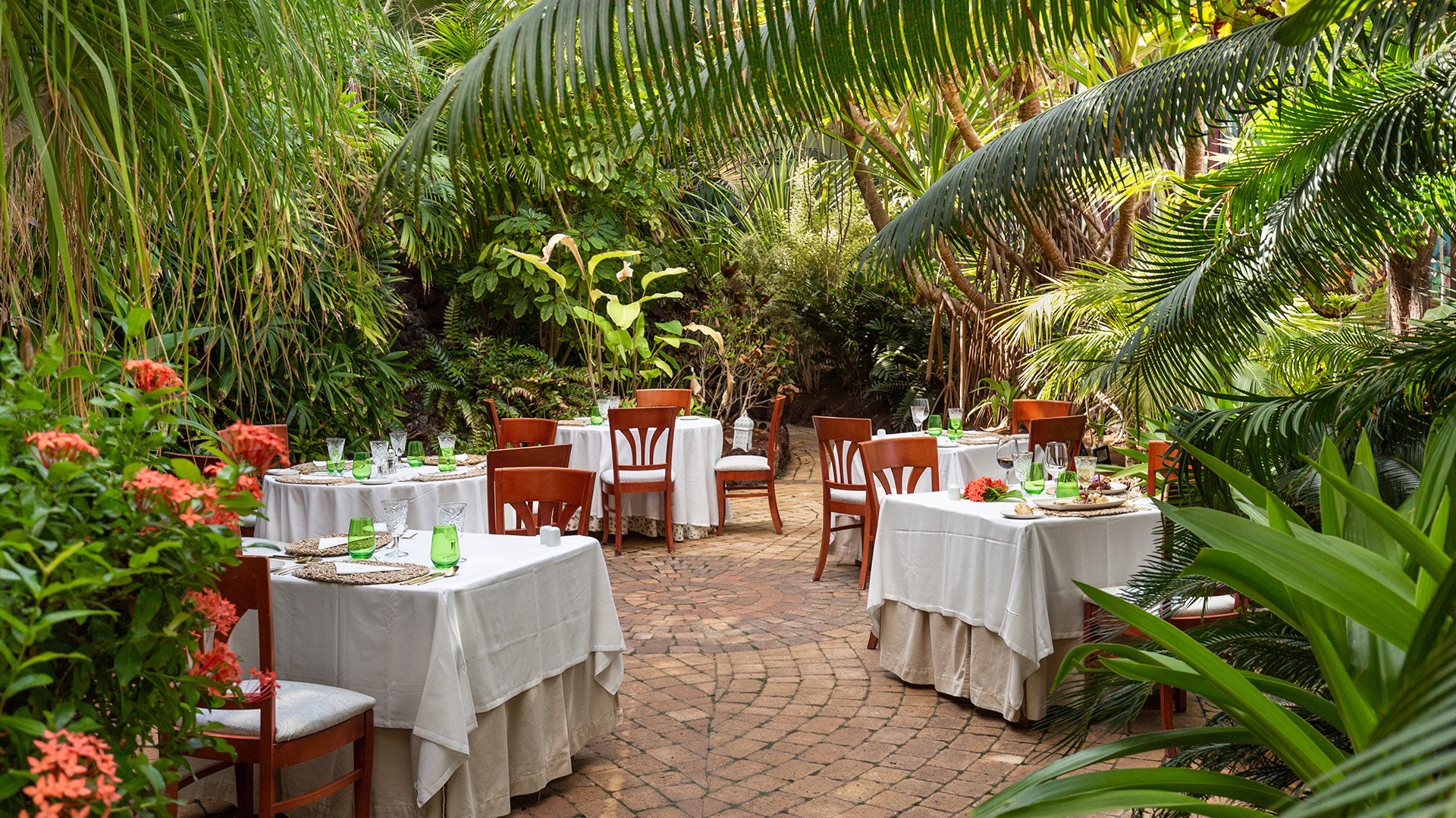 pasiūlymo nuotrauka 1