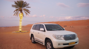 wahiba safaris