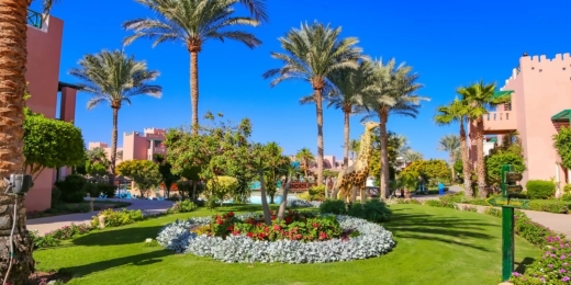 Rehana Sharm Resort4