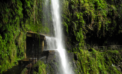 Ribeira da Janela levada