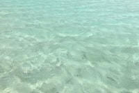 rihiveli rimvydo 13410