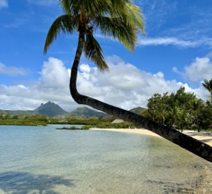 image00008