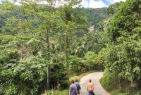 Thailand 4