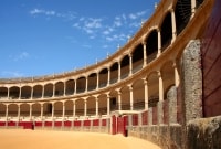 ronda buliu arena