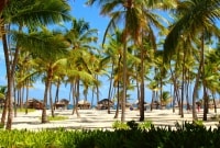 rotanas honduras 11066