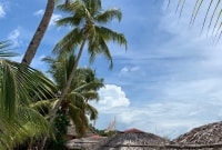 img 2663 16692 16702