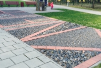 IMG 4594