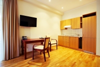 poilsis birstone royal spa residence mini apartamentai virtuvele 4980