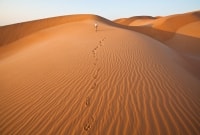 iStock 185238301