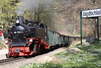 rugen4