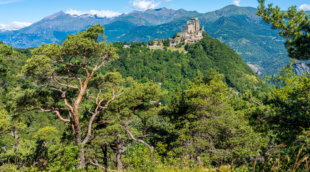 Sacra di San Michele vienuolyno1