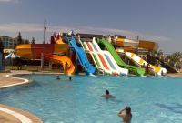 safa1