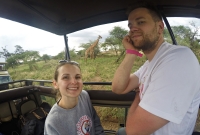 safaris dzipas 7495