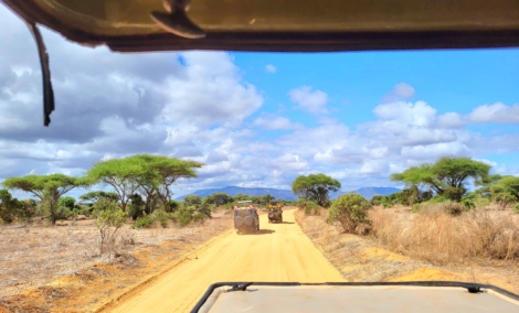Safaris