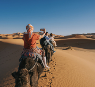sahara1