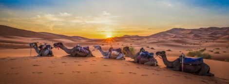 sahara3