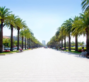 salou palmes