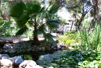 salou 2791