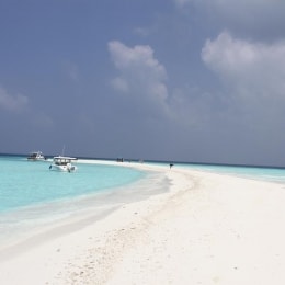 salt beach hotel 7923