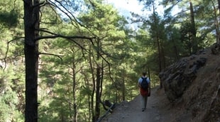 kreta samaria spalis 13