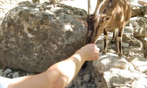 kreta samaria spalis 18